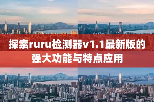 探索ruru檢測(cè)器v1.1最新版的強(qiáng)大功能與特點(diǎn)應(yīng)用