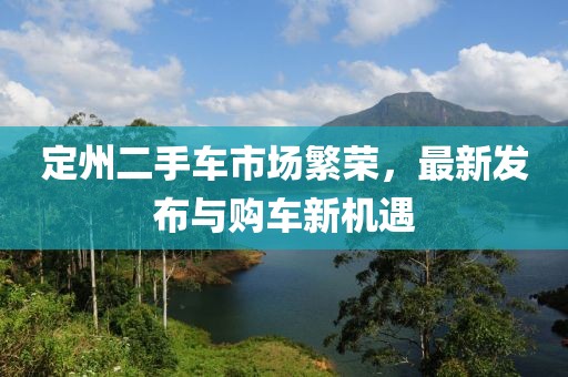 定州二手車市場繁榮，最新發(fā)布與購車新機遇