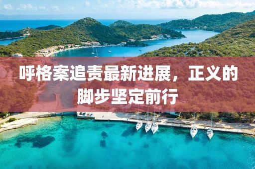呼格案追責(zé)最新進(jìn)展，正義的腳步堅(jiān)定前行