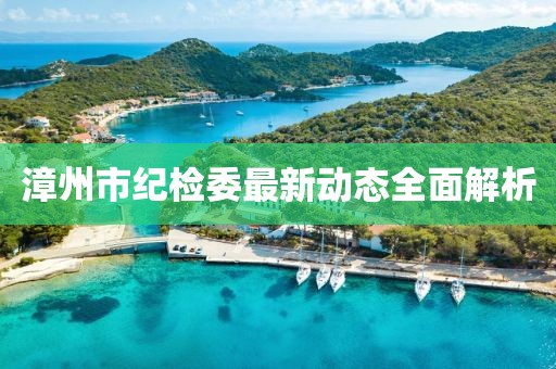 漳州市紀檢委最新動態(tài)全面解析