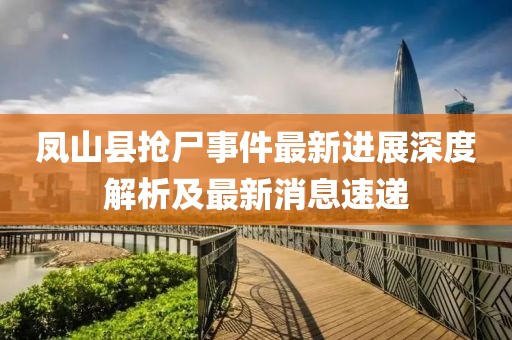 鳳山縣搶尸事件最新進展深度解析及最新消息速遞