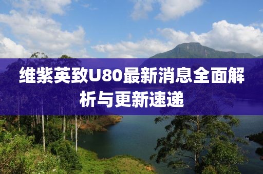 維紫英致U80最新消息全面解析與更新速遞