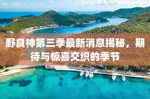 野良神第三季最新消息揭秘，期待與驚喜交織的季節(jié)