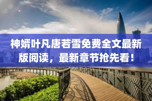 神婿葉凡唐若雪免費(fèi)全文最新版閱讀，最新章節(jié)搶先看！