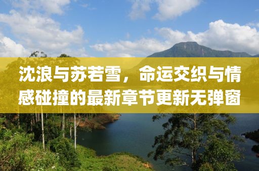 沈浪與蘇若雪，命運交織與情感碰撞的最新章節(jié)更新無彈窗