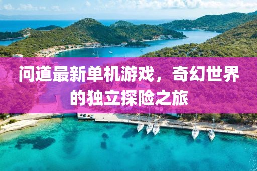 問(wèn)道最新單機(jī)游戲，奇幻世界的獨(dú)立探險(xiǎn)之旅