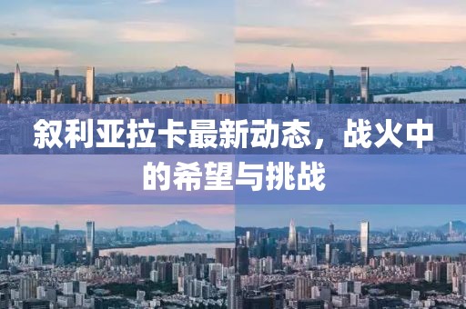 敘利亞拉卡最新動(dòng)態(tài)，戰(zhàn)火中的希望與挑戰(zhàn)