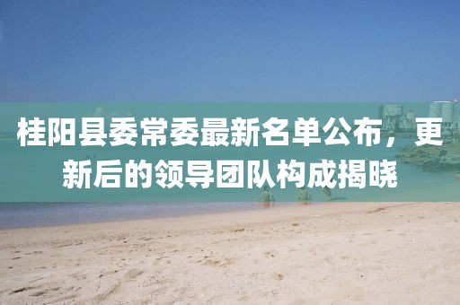 桂陽縣委常委最新名單公布，更新后的領(lǐng)導(dǎo)團隊構(gòu)成揭曉