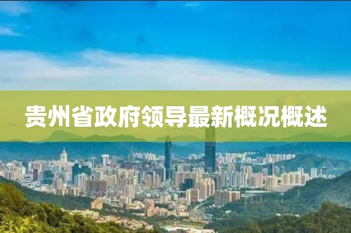 貴州省政府領導最新概況概述