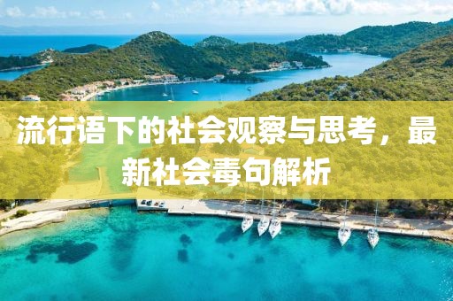 流行語(yǔ)下的社會(huì)觀(guān)察與思考，最新社會(huì)毒句解析