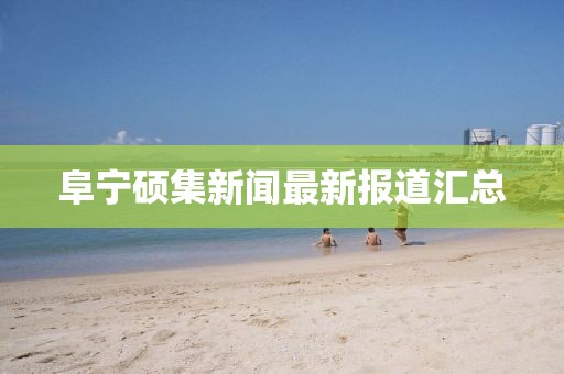 阜寧碩集新聞最新報(bào)道匯總
