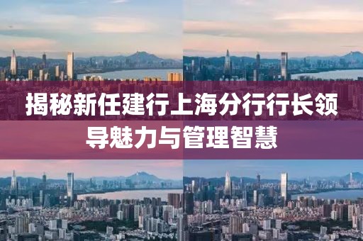 揭秘新任建行上海分行行長領(lǐng)導(dǎo)魅力與管理智慧