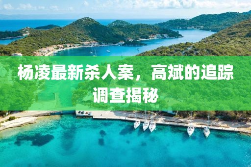 楊凌最新殺人案，高斌的追蹤調(diào)查揭秘
