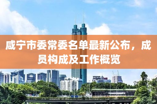 咸寧市委常委名單最新公布，成員構(gòu)成及工作概覽
