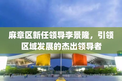 麻章區(qū)新任領(lǐng)導(dǎo)李景隆，引領(lǐng)區(qū)域發(fā)展的杰出領(lǐng)導(dǎo)者