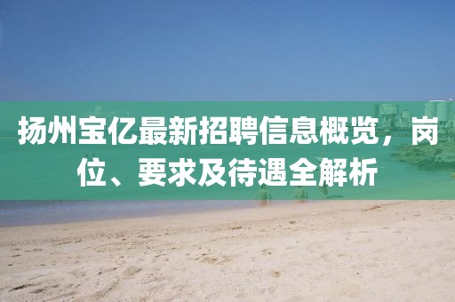 揚(yáng)州寶億最新招聘信息概覽，崗位、要求及待遇全解析