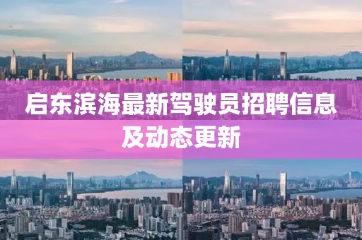 啟東濱海最新駕駛員招聘信息及動態(tài)更新
