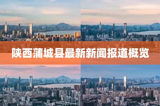 陜西蒲城縣最新新聞報道概覽