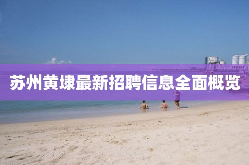 蘇州黃埭最新招聘信息全面概覽