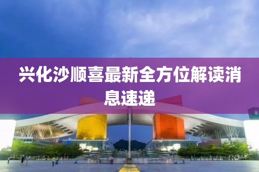興化沙順喜最新全方位解讀消息速遞