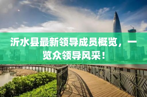 沂水縣最新領導成員概覽，一覽眾領導風采！