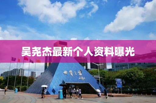 吳堯杰最新個人資料曝光