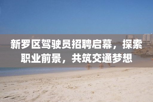 新羅區(qū)駕駛員招聘啟幕，探索職業(yè)前景，共筑交通夢(mèng)想
