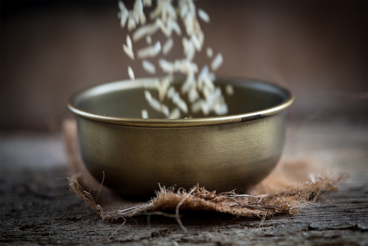 日照未來城最新動(dòng)態(tài)，城市發(fā)展的輝煌新篇章