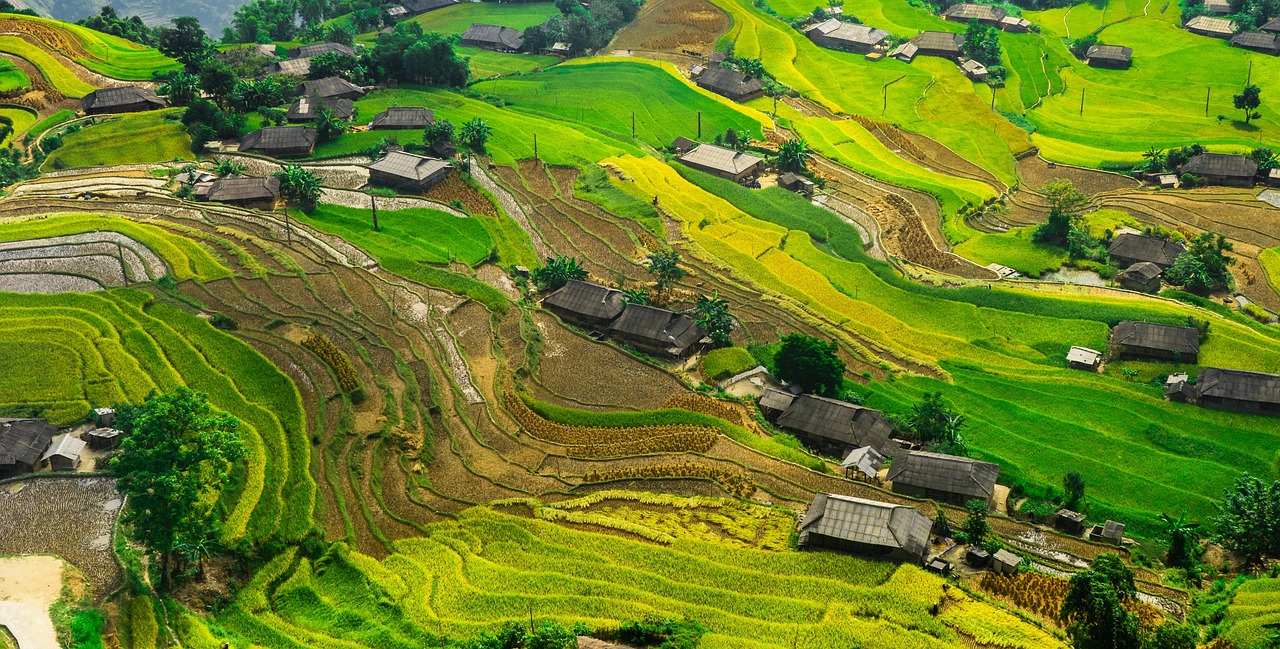 中緬合作新篇章，運(yùn)八飛機(jī)在緬甸的最新動(dòng)態(tài)與消息