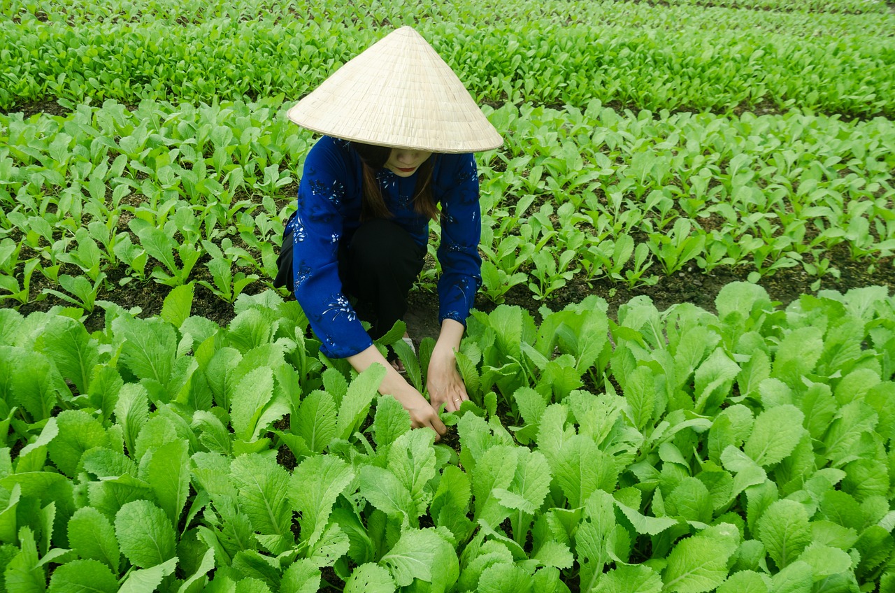 甬金鐵路最新動(dòng)態(tài)，嵊州發(fā)展與鐵路聯(lián)動(dòng)推進(jìn)