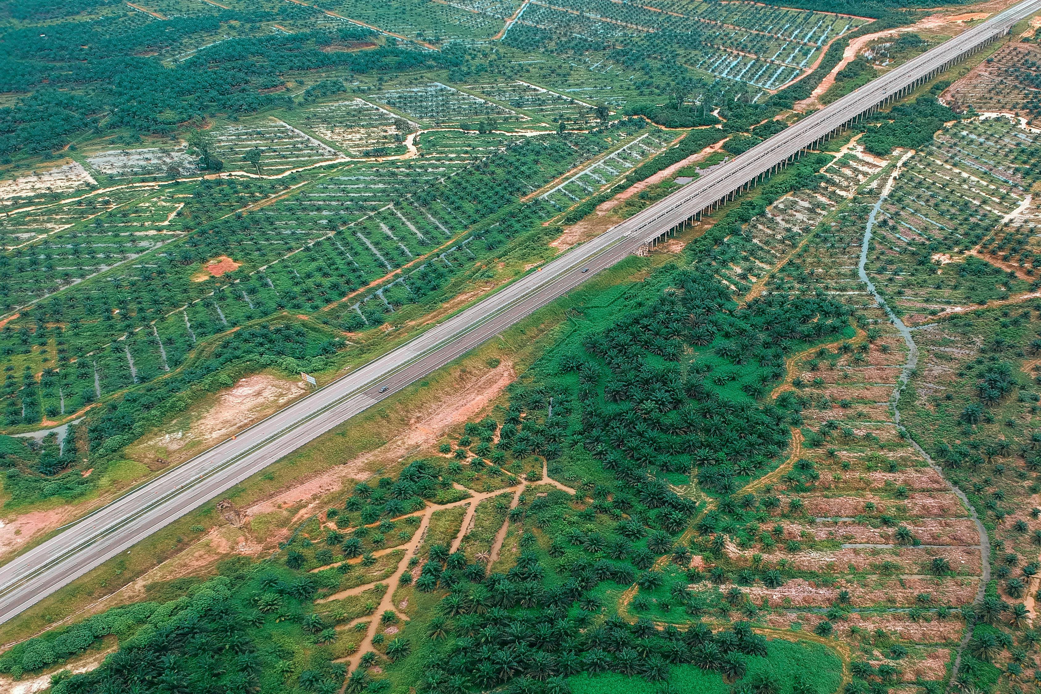 興富高速公路最新進展報告更新，建設進度一覽