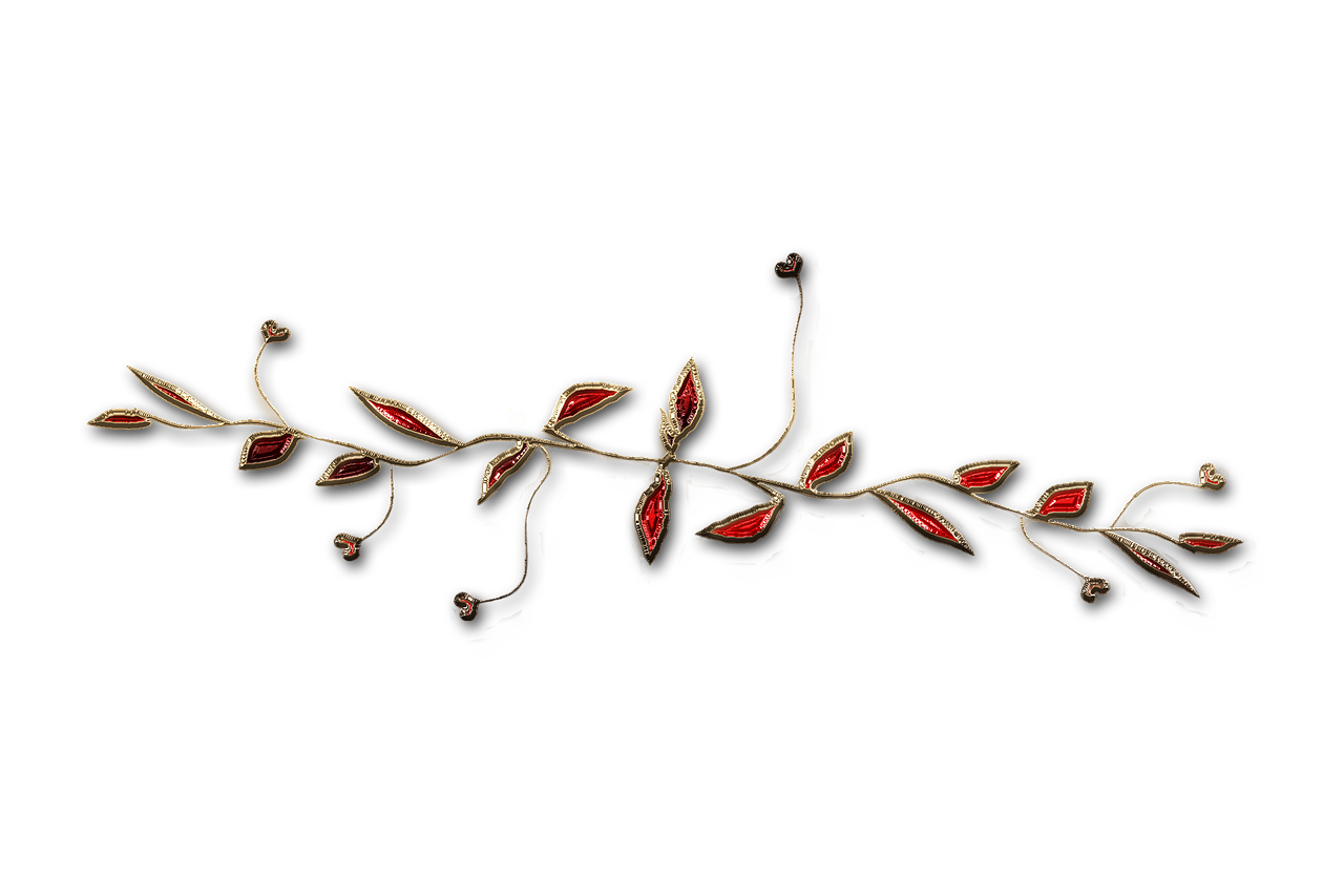 廣西大紅八角產(chǎn)業(yè)蓬勃發(fā)展，前景廣闊，最新消息與動態(tài)